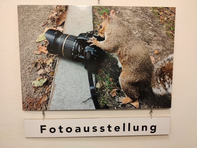 Eichhörnchen auf Fotokamera